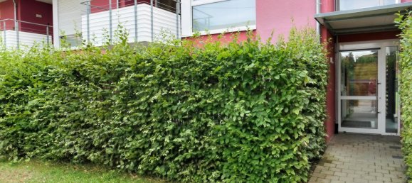 3 غرف نوم شقة في Tuttlingen, Germany رقم 35410 15