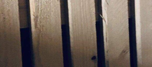 2 rooms Apartment in Ottakring, Austria No. 169164 15