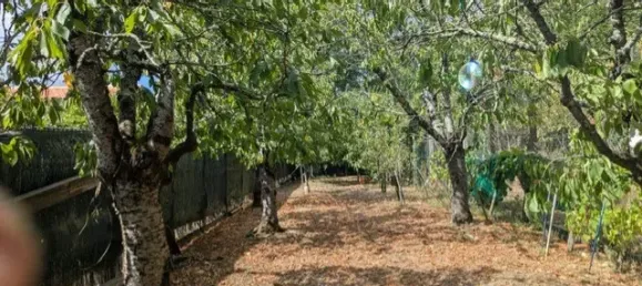 Дом с 2 спальнями в Приморская Шаранта, Франция № 333757 8