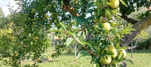 4 bedrooms House in Biella, Italy No. 264300 2