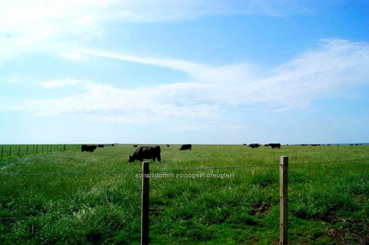 3 غرف نوم منزل في Rio Negro, Uruguay رقم 6168