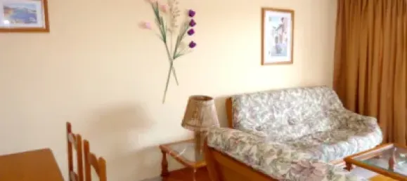 2 bedrooms Apartment in Adeje, Spain No. 26110 7