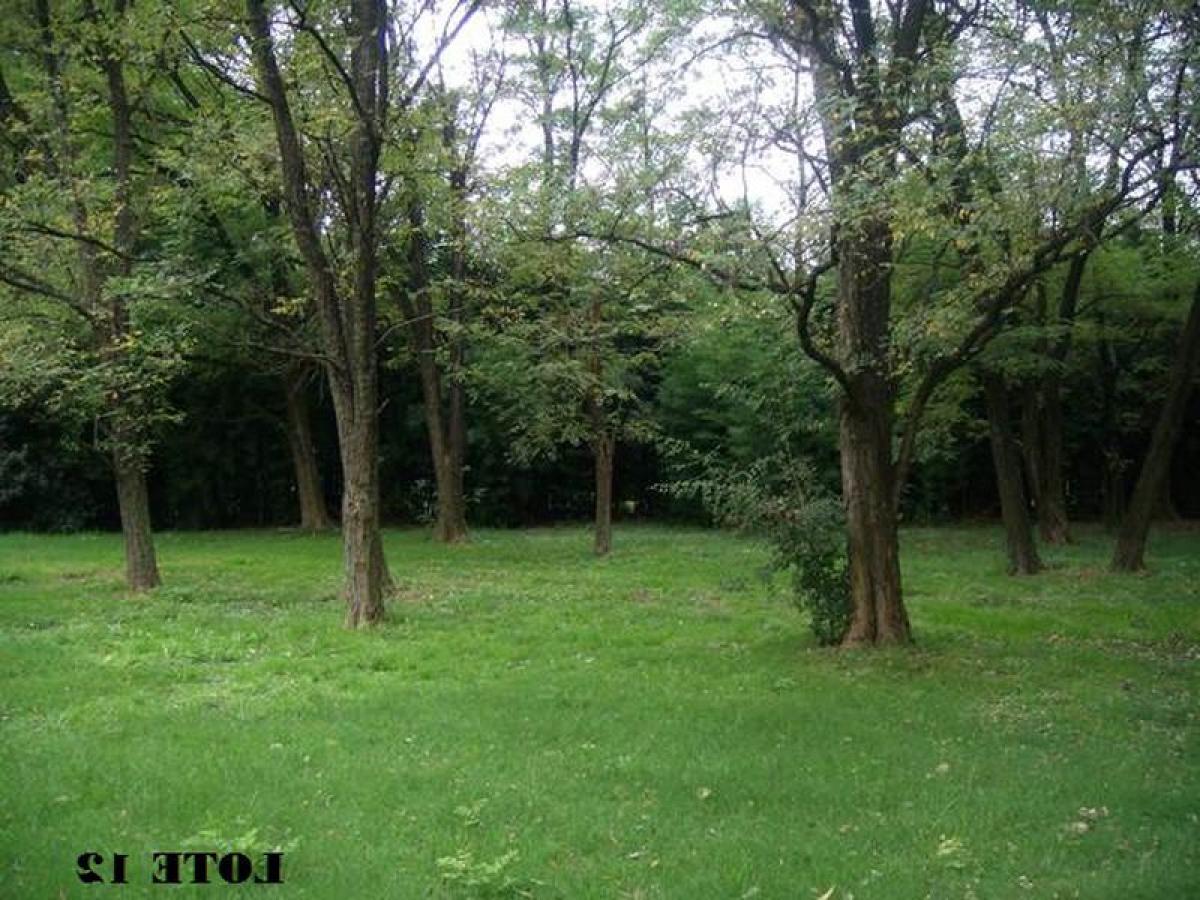 Grundstück in Jose C. Paz, Argentina, Nr. 115052