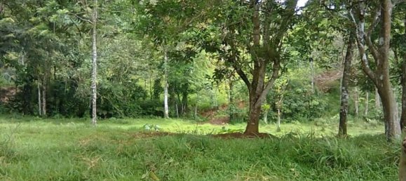terreno en venta en Upala, Alajuela, Costa Rica № 1773 5