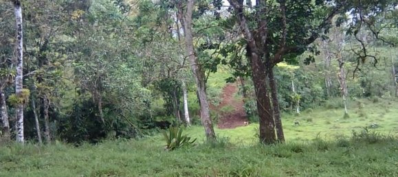 terreno en venta en Upala, Alajuela, Costa Rica № 1773 3