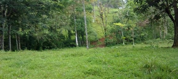 terreno en venta en Upala, Alajuela, Costa Rica № 1773 4