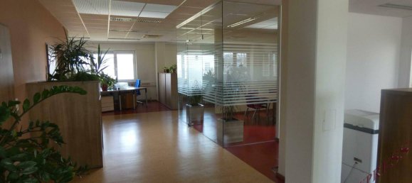  Commercial property in Wiener Neustadt, Austria No. 190305 3