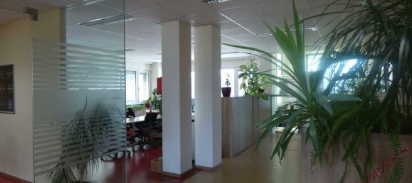  Commercial property in Wiener Neustadt, Austria No. 190305 2