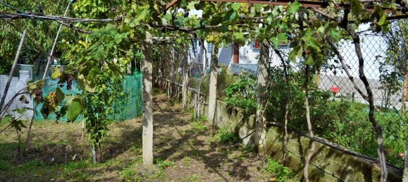 Propiedad comercial de 6 dormitorios en Corfu, Greece No. 4052 4