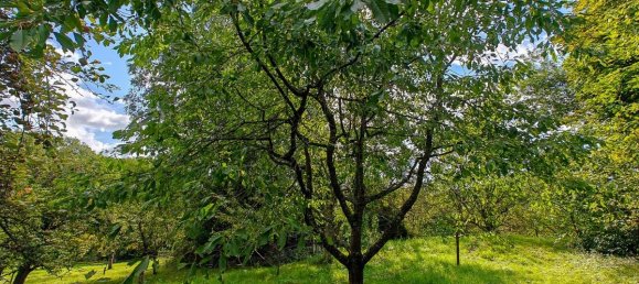 Grundstück in Reutlingen, Germany, Nr. 309199 7