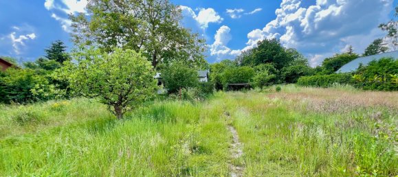 3غرفة قطعة أرض في Brandenburg, Germany رقم 1913 6