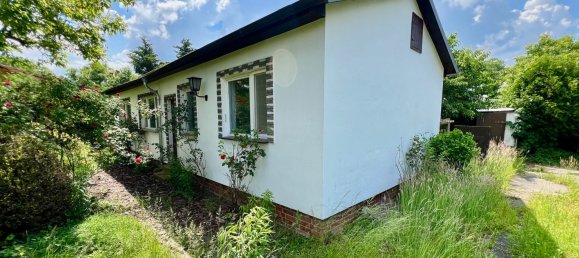 3غرفة قطعة أرض في Brandenburg, Germany رقم 1913 4