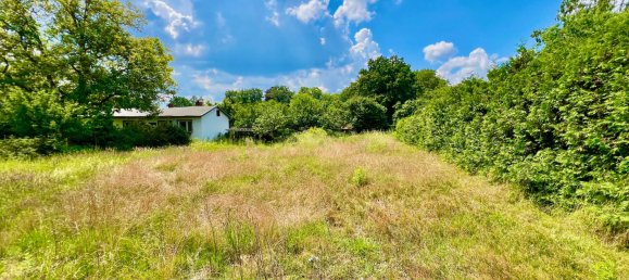 3غرفة قطعة أرض في Brandenburg, Germany رقم 1913 2