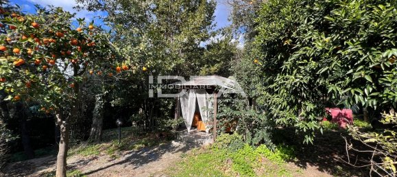 11 rooms Villa in Massarosa, Italy No. 85594 2