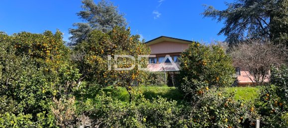 11 rooms Villa in Massarosa, Italy No. 85594 3