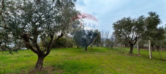 5 rooms House in Maiolati Spontini, Italy No. 11659 19