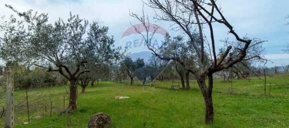 5 rooms House in Maiolati Spontini, Italy No. 11659 18