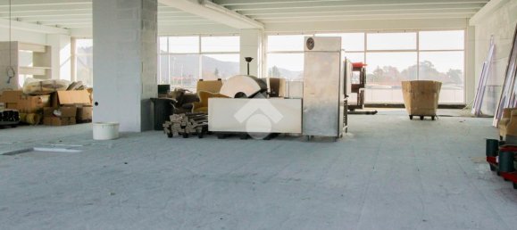 1 room Office in Cologne, Italy No. 153207 6