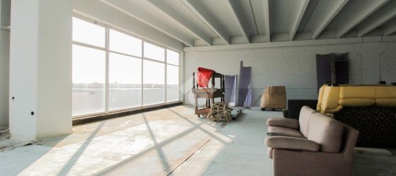 1 room Office in Cologne, Italy No. 153207 4