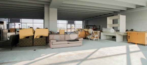 1 room Office in Cologne, Italy No. 153207 10