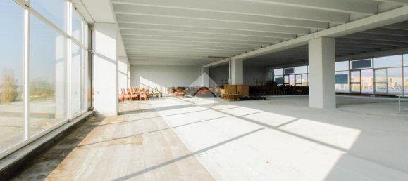 1 room Office in Cologne, Italy No. 153207 18