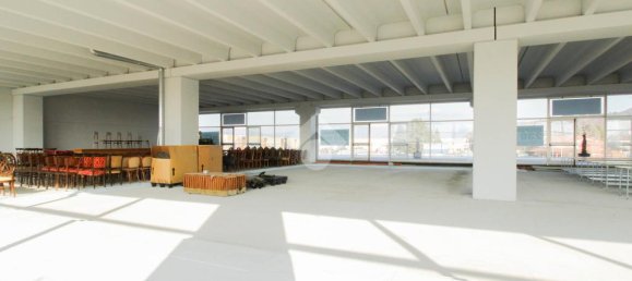 1 room Office in Cologne, Italy No. 153207 19