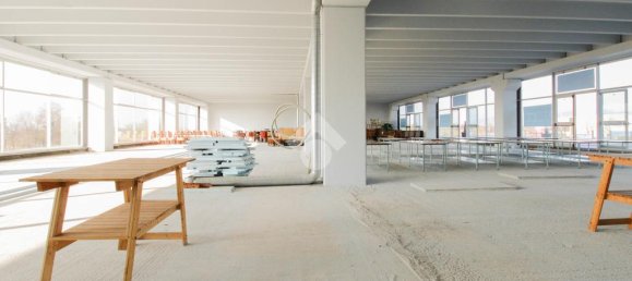 1 room Office in Cologne, Italy No. 153207 17