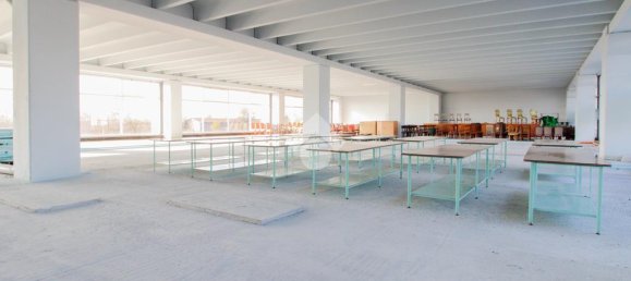 1 room Office in Cologne, Italy No. 153207 14