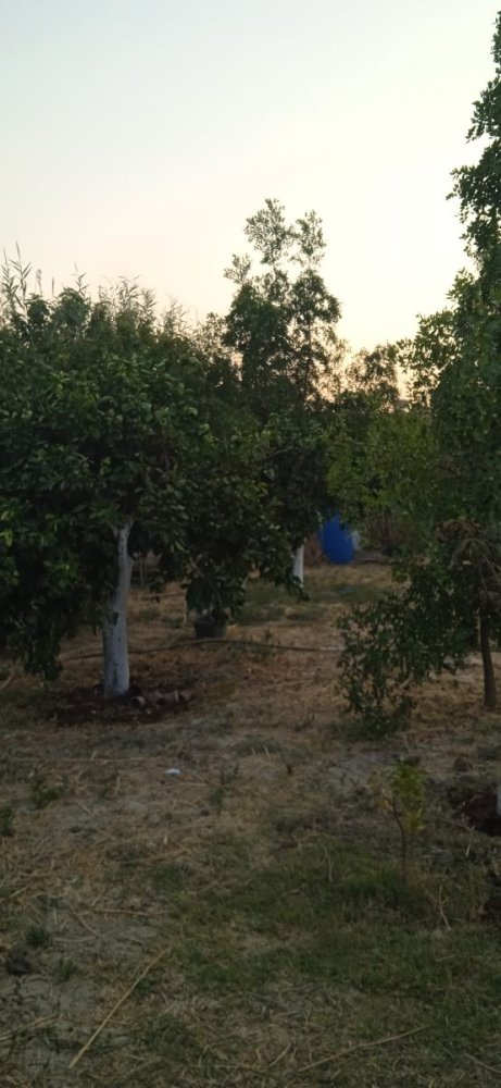 1000m² Land in Cartama, Spain No. 220322