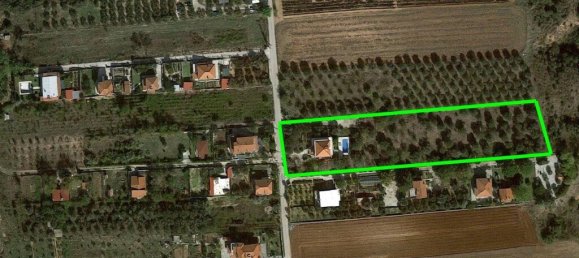 5 Schlafzimmer Villa in Thermaic Gulf, Greece, Nr. 1993 6