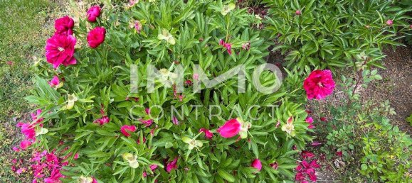 7-Zimmer Haus in Mistelbach, Austria, Nr. 152998 12