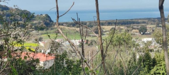 16540m² Land in Pozzuoli, Italy No. 113404 4