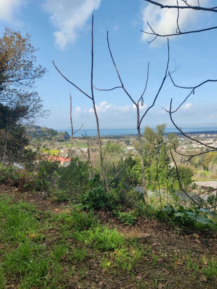 16540m² Land in Pozzuoli, Italy No. 113404