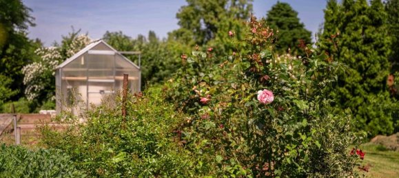 3 غرف نوم تاون هاوس في Zwickau, Germany رقم 225018 8