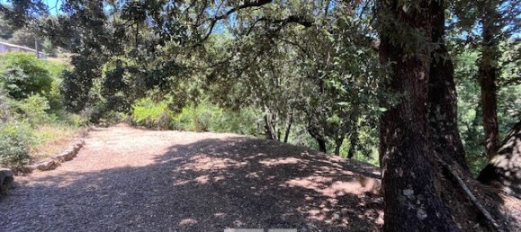 4 bedrooms House in Vico, France No. 272309 3