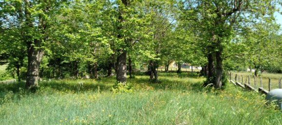 Casa de 2 divisões em Segni, Italy N.º 134815 8