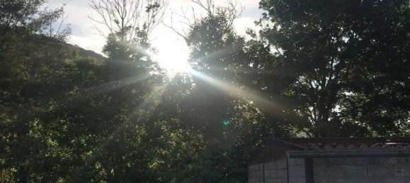 Casa de 2 divisões em Segni, Italy N.º 134815 17