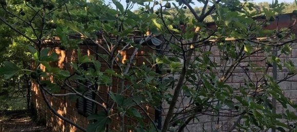 Casa de 2 divisões em Segni, Italy N.º 134815 15