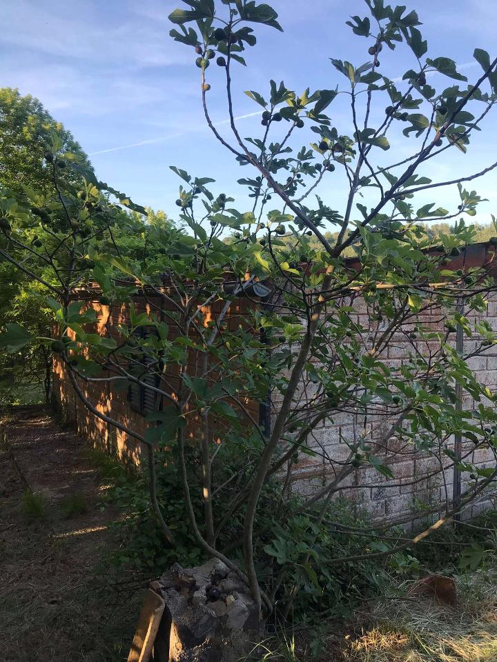 Casa de 2 divisões em Segni, Italy N.º 134815