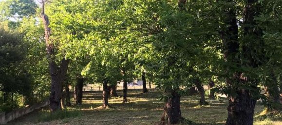 Casa de 2 divisões em Segni, Italy N.º 134815 11