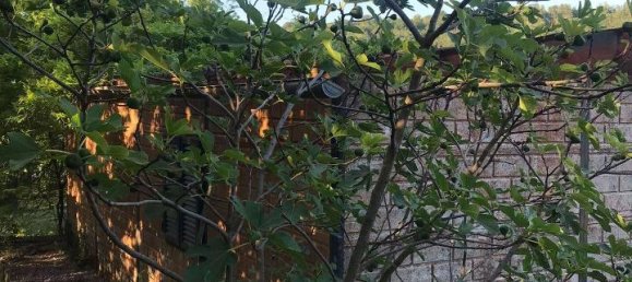 Casa de 2 divisões em Segni, Italy N.º 134815 19