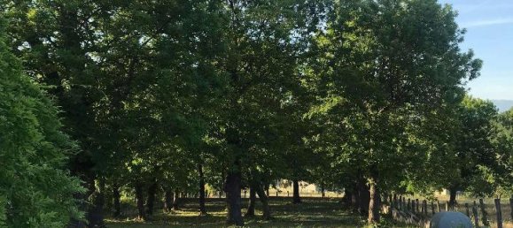 Casa de 2 divisões em Segni, Italy N.º 134815 18