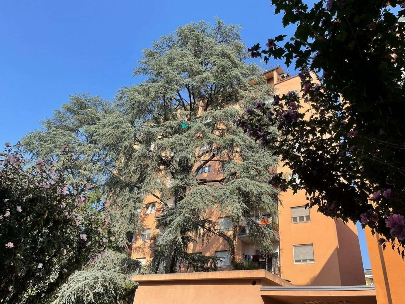 3 rooms Apartment in Novara, Italy No. 12381