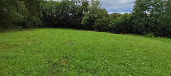  قطعة أرض في Volmunster, France 10860متر مربع رقم 89055 3