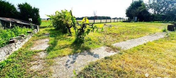 5 chambres Maison à Saint-Laurent-en-Gâtines, France No. 251494 20
