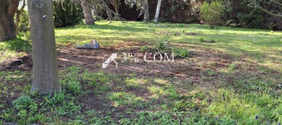 Casa T4 em Angres, France N.º 244116 17