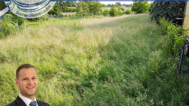 Земельный участок в Гунтерсдорф, Австрия № 195862