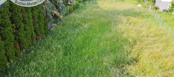 Land in Guntersdorf, Austria No. 195862 2