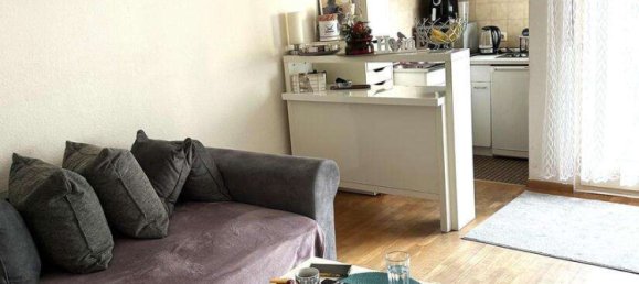 Apartamento de 1 dormitorio en Freiburg im Breisgau, Germany No. 4487 2