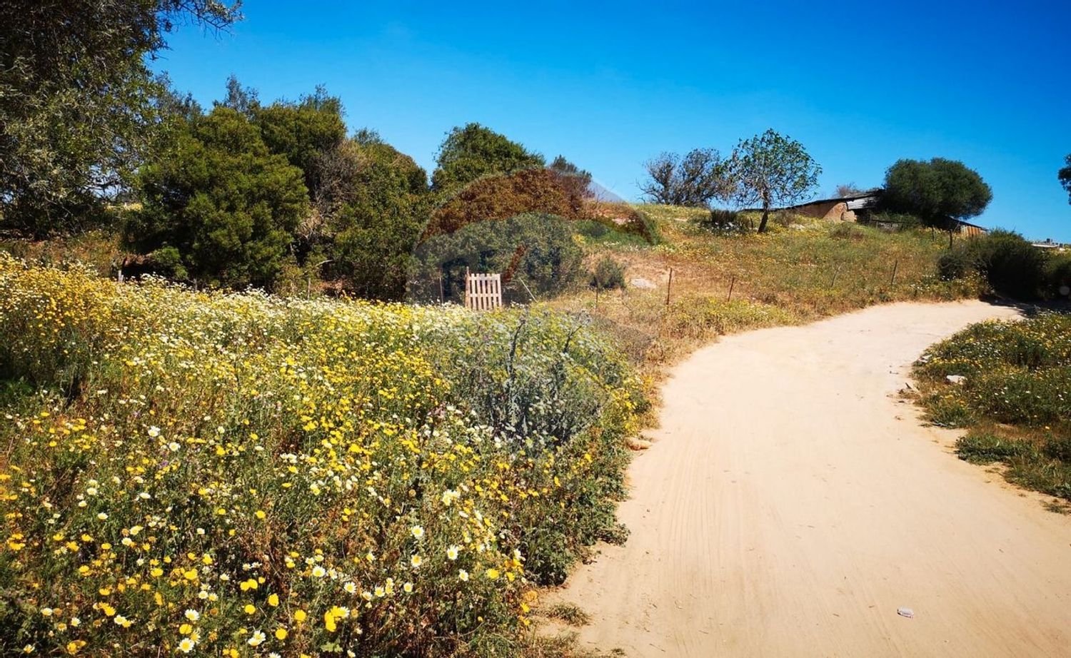 1 bedroom House in Porches, Portugal No. 37858